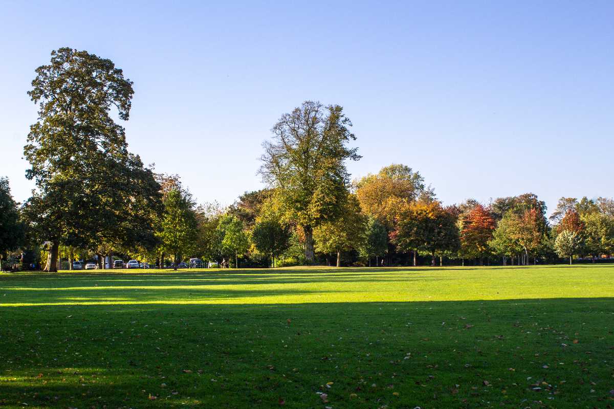 The trees in Kings Heath Park showing off their autumn colours.